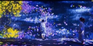 teamLab——風(fēng)靡全球的沉浸式網(wǎng)紅展項(xiàng)體驗(yàn)！