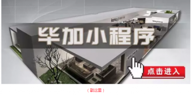 畢加邂逅小“情人”，那就再愛一次吧